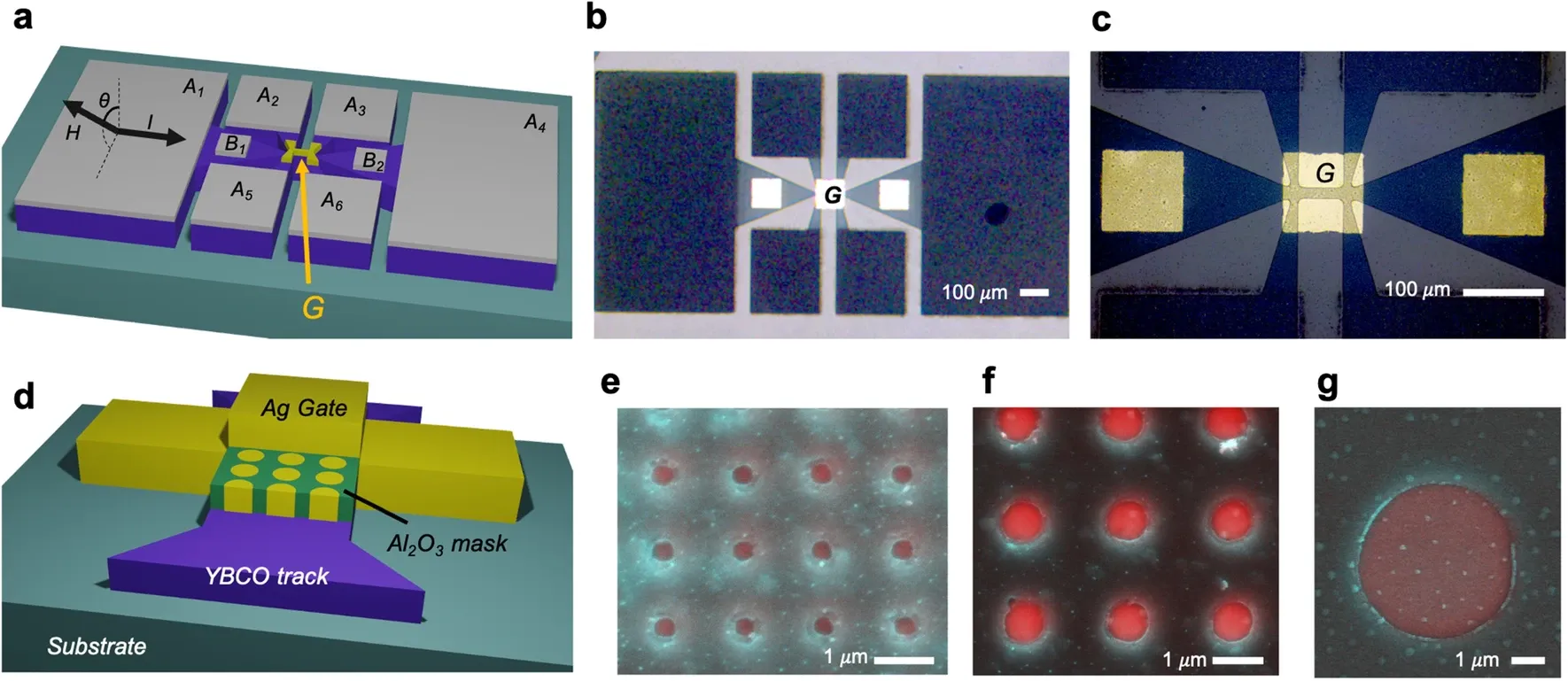 Tuning the superconducting performance of YBa2Cu3O7-δ films through field-induced oxygen doping